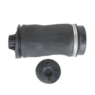 Black Rear Air Suspension Spring 2513200425 W251 R350 R500