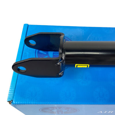 Pneumatic Coil Spring Air Suspension System for Tesla Model 3/Y Complete Assy 104409200A