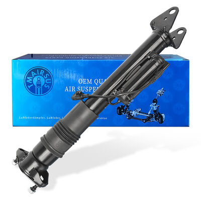 Air Suspension Management System with Pneumatic Shock Absorbers Ben-Z W251/R300