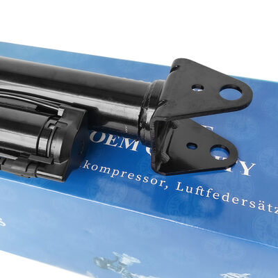 Air Suspension Management System with Pneumatic Shock Absorbers Ben-Z W251/R300