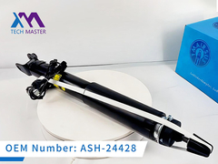 Tech Master LINCOIN MKS MKT Rear With Electric Shock Absorber ASH-24428