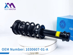 Tech Master Tesla Model S Front Shock Absorber Complete 1030607-01-A