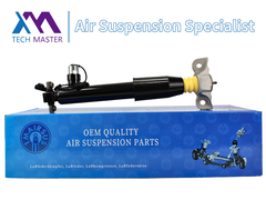 Tech Master Rear Left Shock Absorber Strut For Lincoln MKX F2GZ18125Z