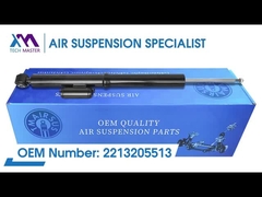 Tech Master TMAIRSUS Rear Left and Right Air Suspension Damper Core for BENZ W221 2213205513