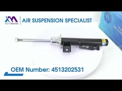 Tech Master TMAIRSUS Front Coil Spring Shock for W451 4513202531