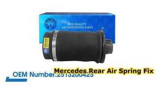 Mercedes-Benz W251/R350 R500 Rear Air Spring