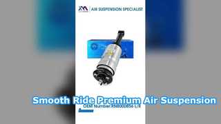 Tech Master TMAIRSUS Air Suspension Shock Absorbers for Discovery 3, Discovery 4 L319, Range Rover S